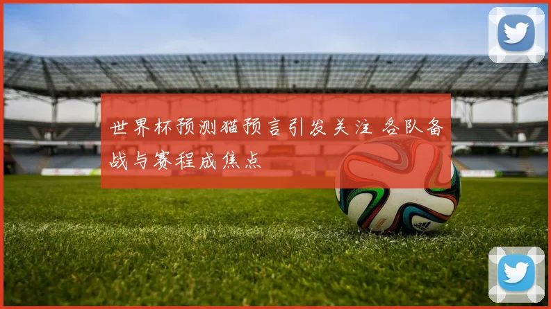 世界杯预测猫预言引发关注 各队备战与赛程成焦点
