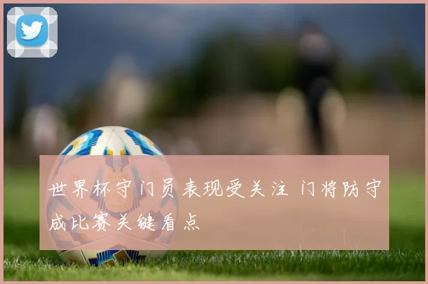 世界杯守门员表现受关注 门将防守成比赛关键看点