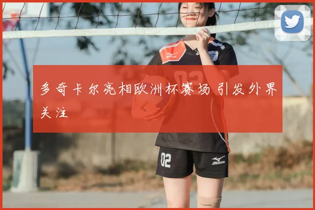 多奇卡尔亮相欧洲杯赛场 引发外界关注