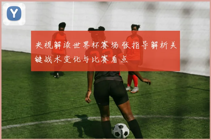 央视解读世界杯赛场 张指导解析关键战术变化与比赛看点