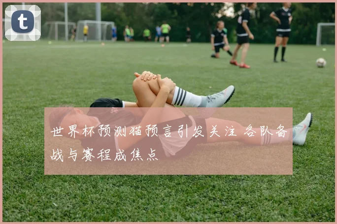 世界杯预测猫预言引发关注 各队备战与赛程成焦点