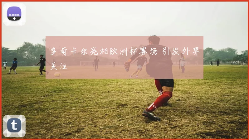 多奇卡尔亮相欧洲杯赛场 引发外界关注