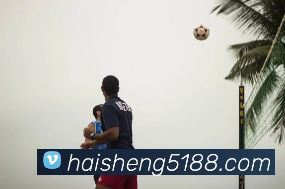 数据防护可视化